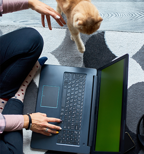 Woman typing on laptop computer with a ginger cat by her side. Only the legs, feet and hands of the woman are visible